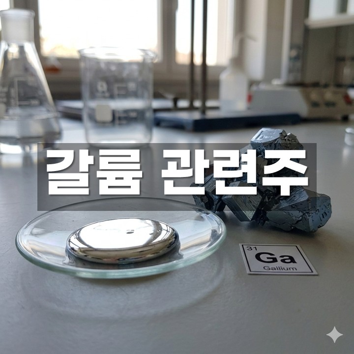 �ѱ� ���� ������ ���̵�