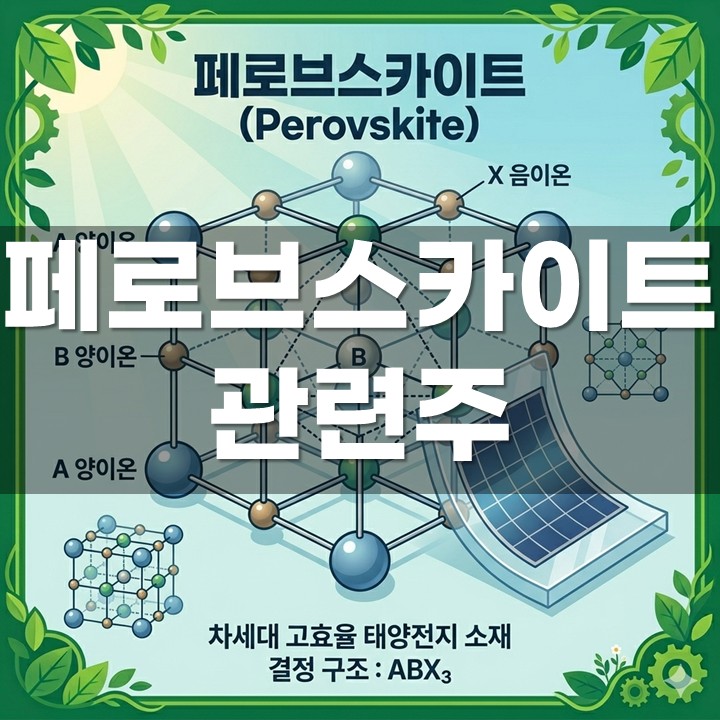 ��κ꽺ī��Ʈ ������