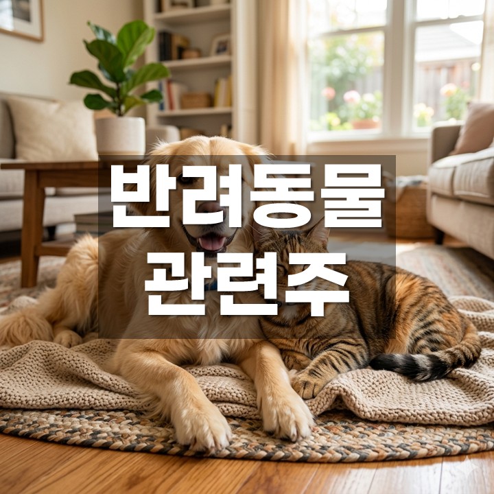 �ݷ����� ������