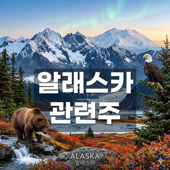 �ѱ� �˷���ī ������ ���̵�